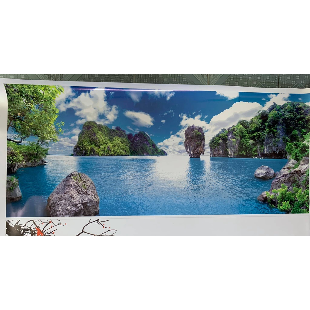 Tranh 3d dán bể cá thủy sinh, bể cá rồng