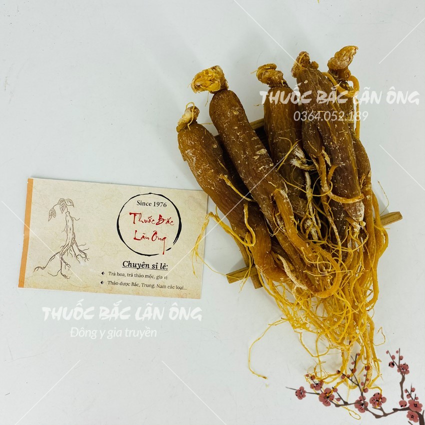 Nhị hồng sâm khô 100g, sâm râu, không tẩm đường, giúp bổ máu, tăng cường sức khoẻ, ngừa ung thư