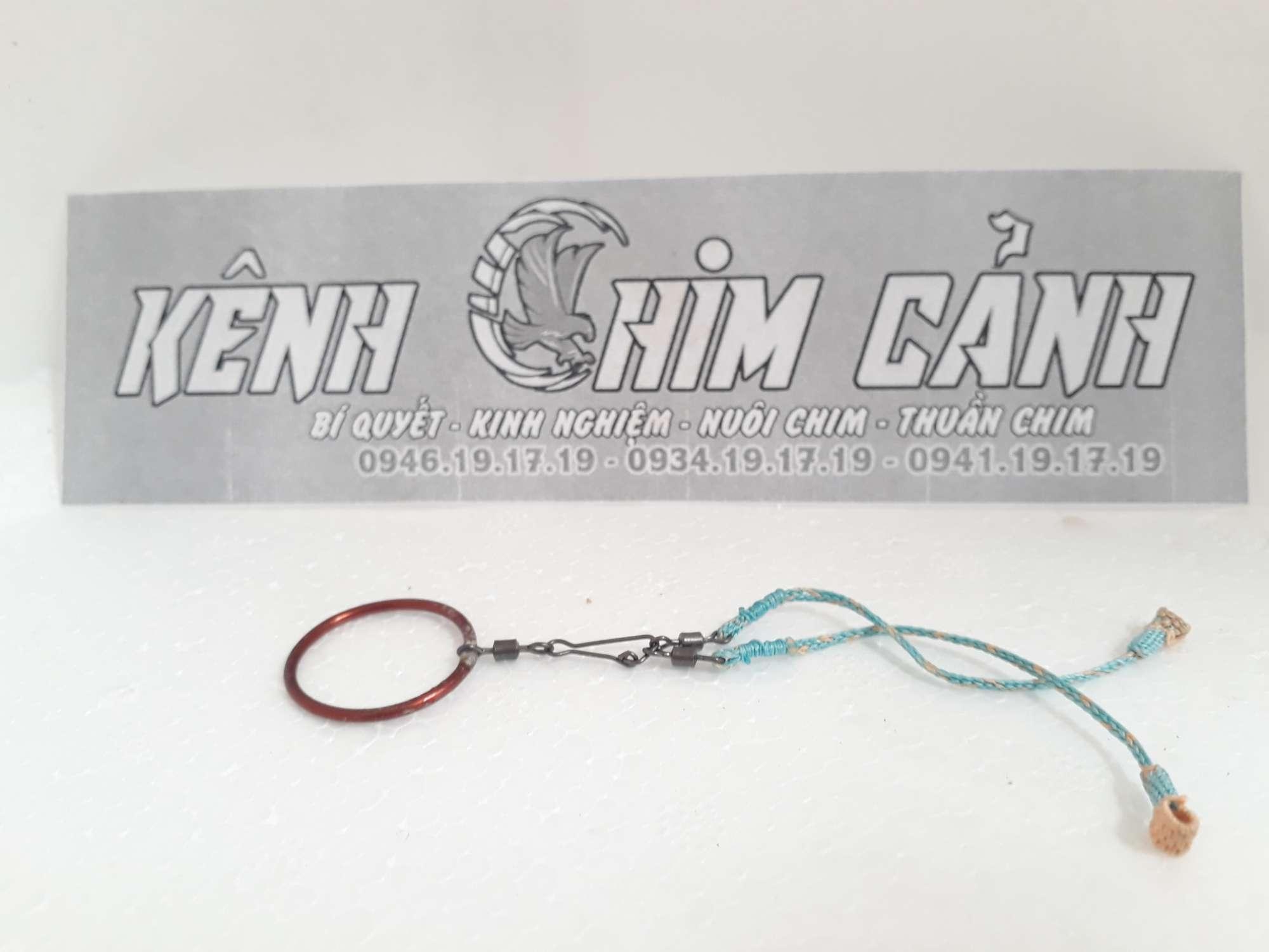 dây xích chân thuần chim khuyên