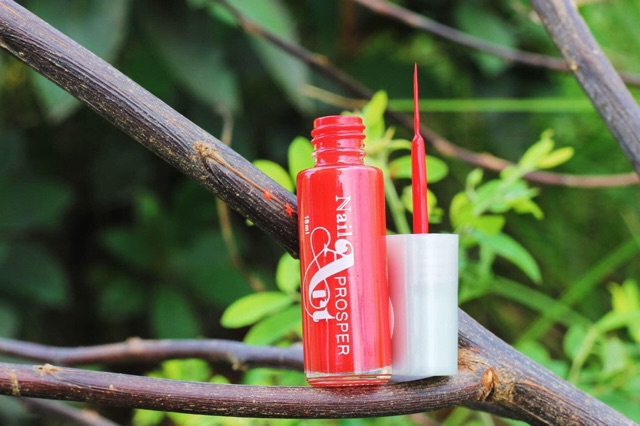 Cọ nét vẽ móng sơn thường 10ml