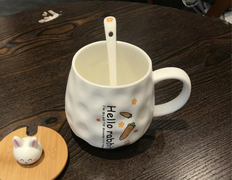 Ly Thỏ Cà Rốt bằng sứ cao cấp 500ml cực Cute