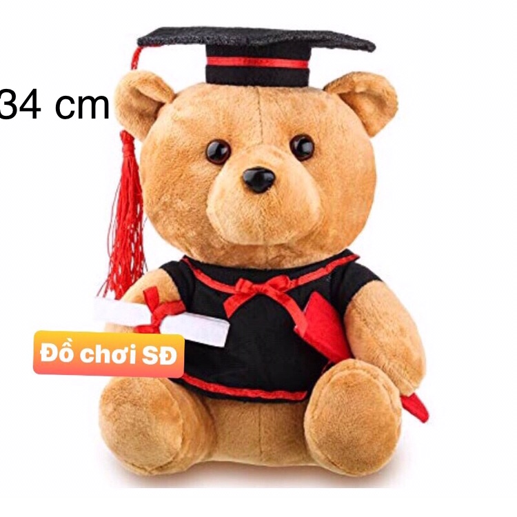 Thú bông gấu tốt nghiệp 34 cm - tặng túi quà và nơ
