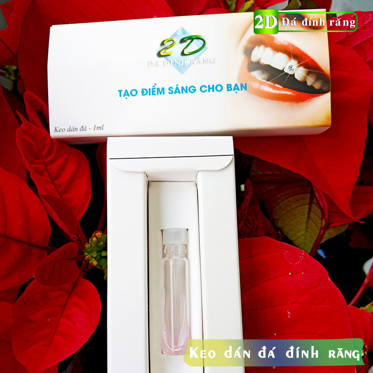 [HCM]Combo đá đính răng 5 viên + tặng keo dán