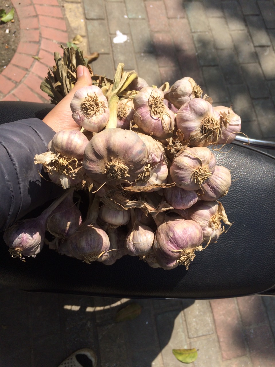 TỎI TÍM To 500g đã cắt cuống
