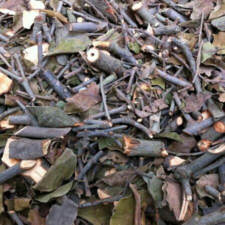 1kg tầm gửi gạo