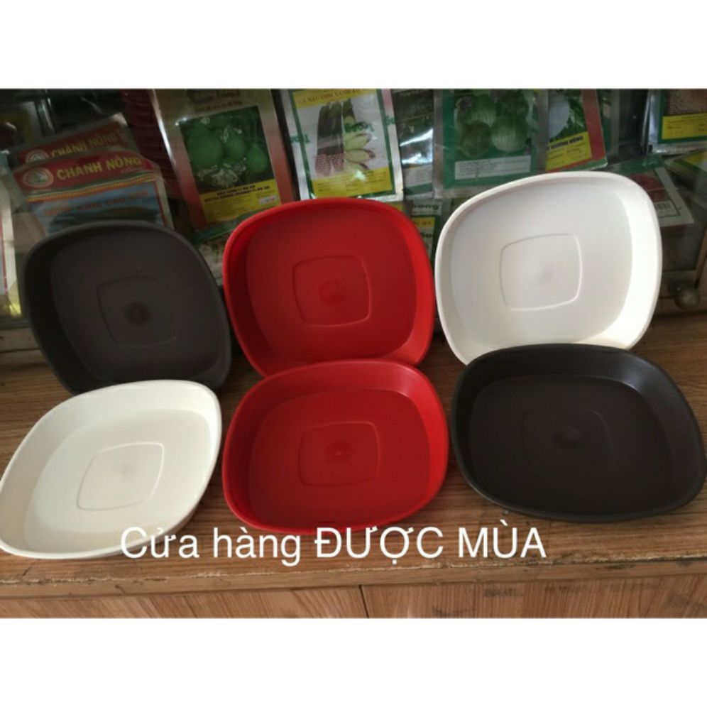 Combo 2 cái dĩa lót chậu vuông 17cm