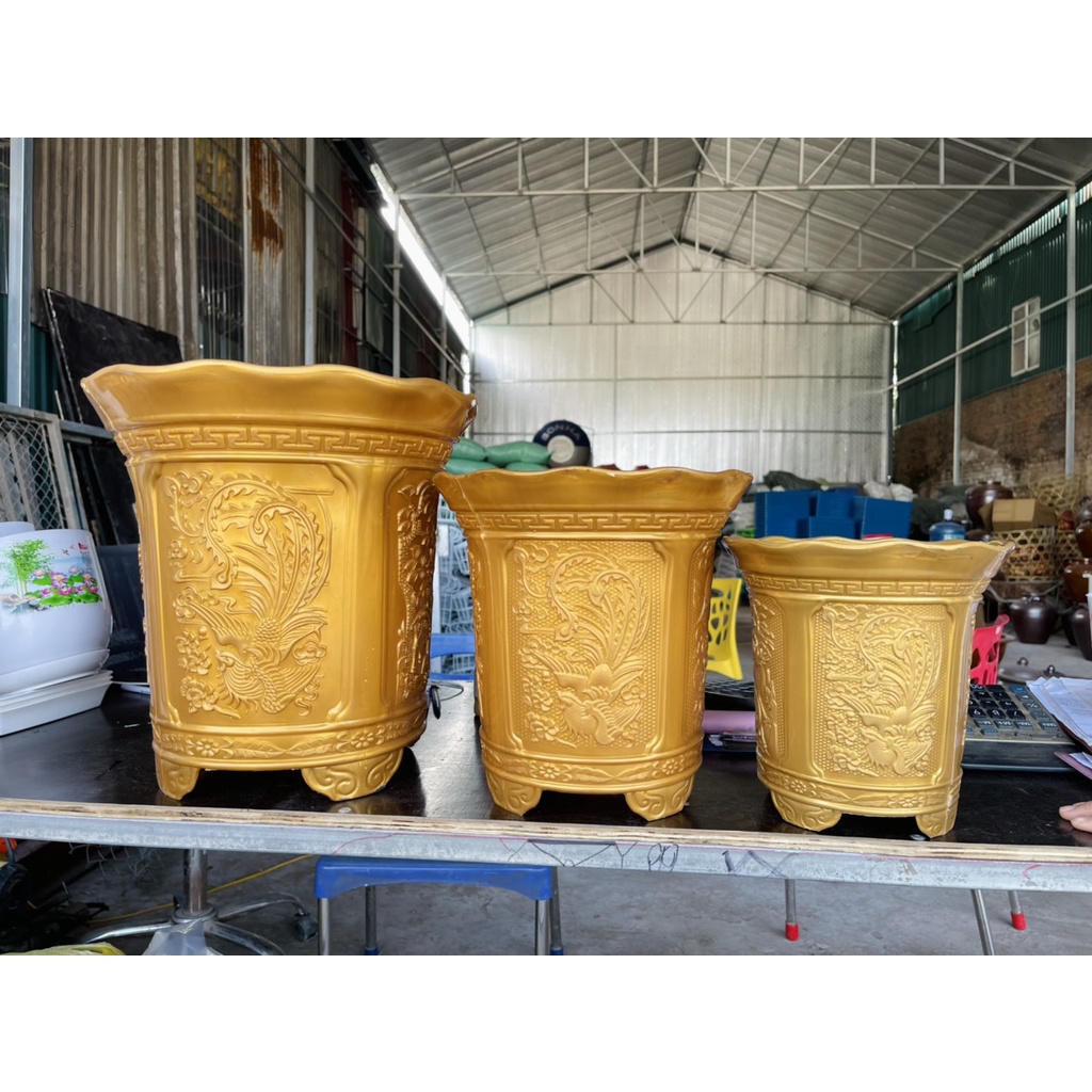 Chậu trồng cây tròn tứ quý màu trắng, màu vàng - đủ size sẵn kho ạ