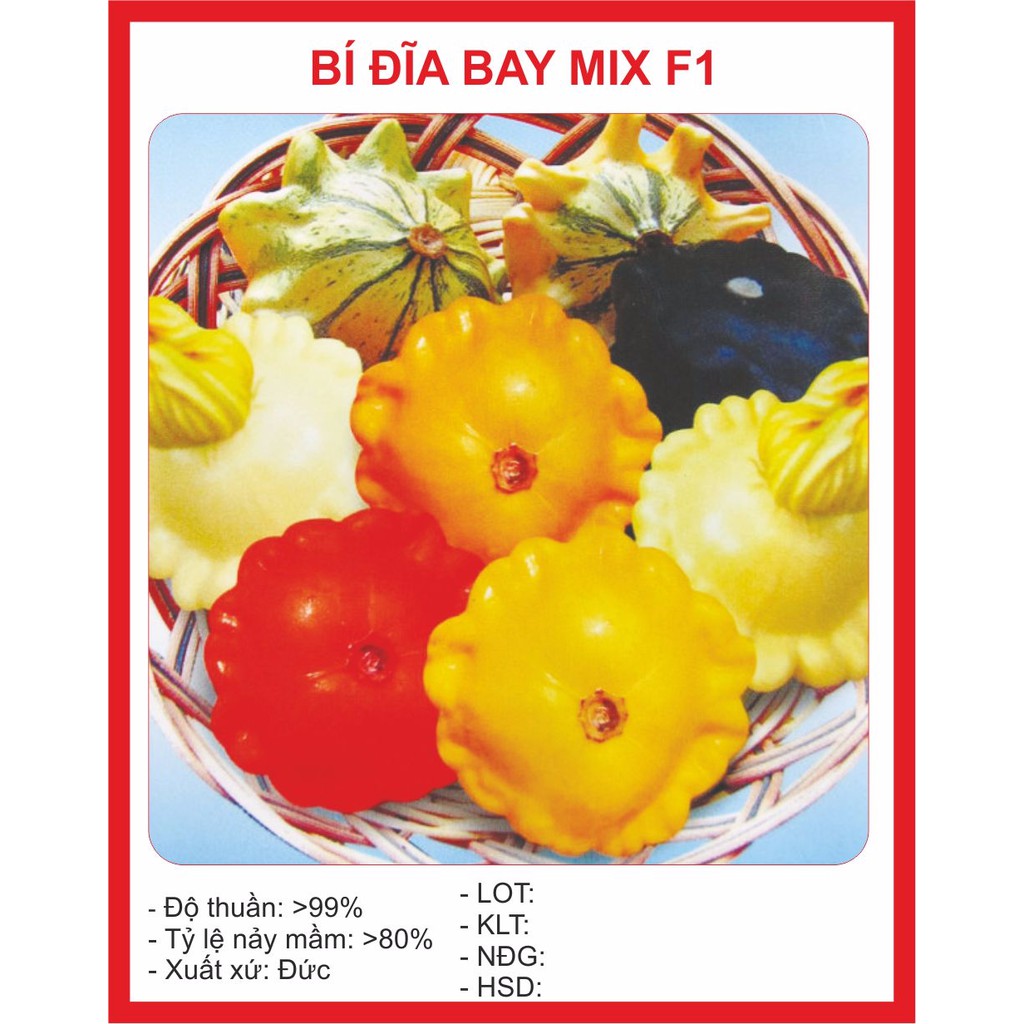 Hạt giống Bí Đĩa Bay 10 Hạt