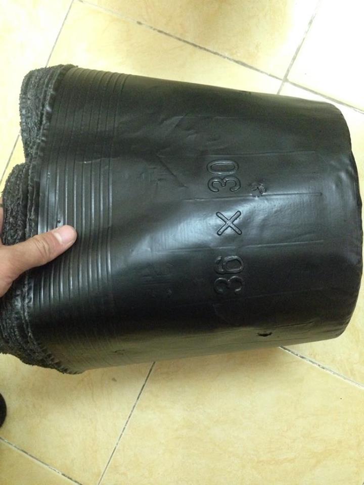 Chậu nhựa trồng cây đủ kích cỡ (1kg)