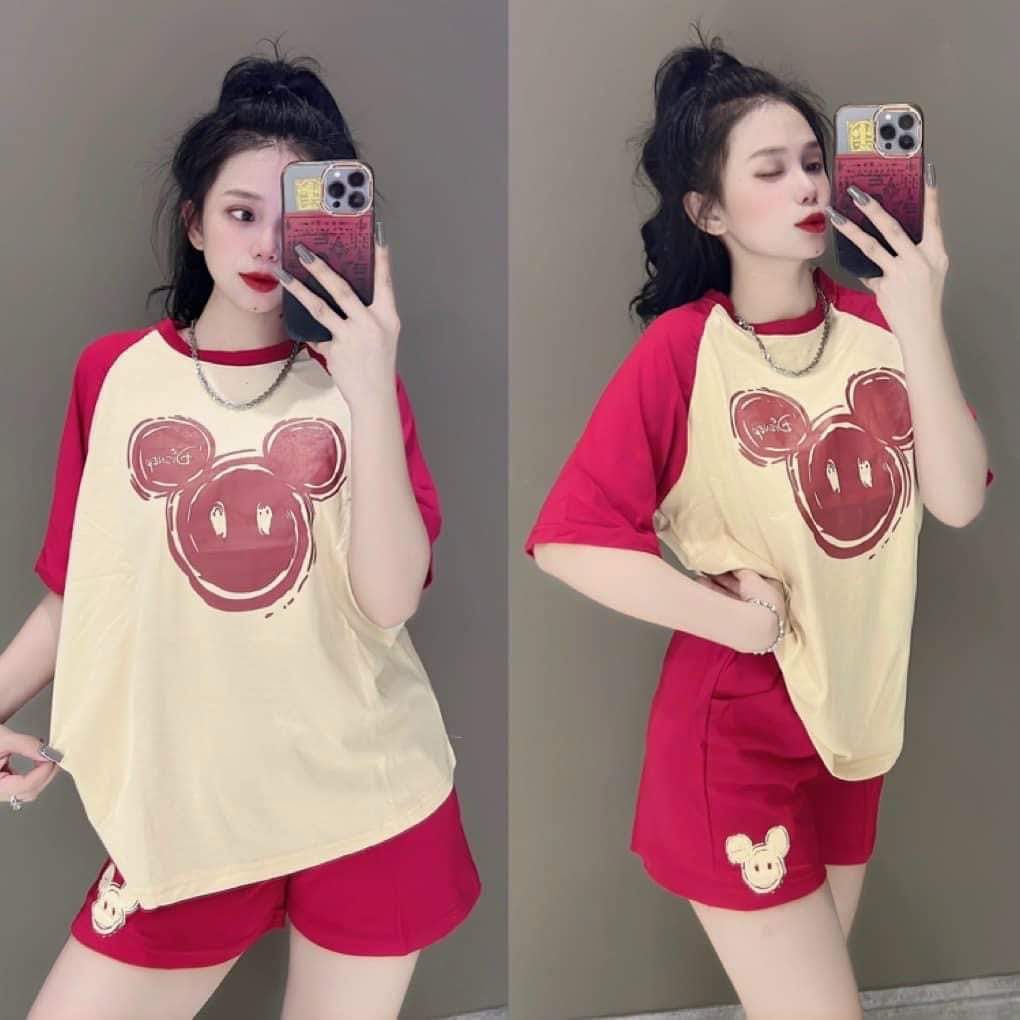 [HCM]SET BỘ ĐÙI NỮ MẶC MÙA HÈ CHẤT THUN COTTON CO GIẢN 4 CHIỀU