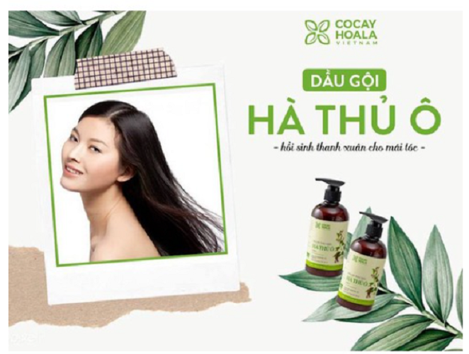 Dầu gội thảo dược Hà Thủ Ô COCAY - 800ML