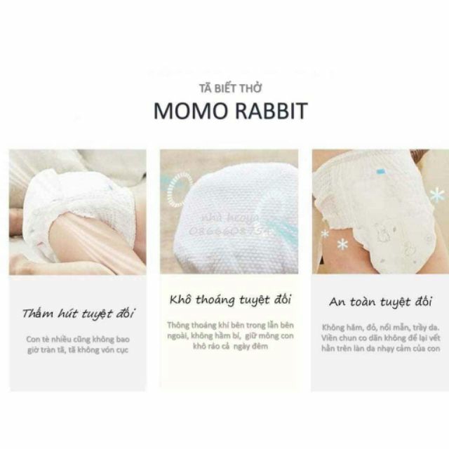 Bỉm Quần Momo Rabbit Nội Địa Hàn Đủ Size