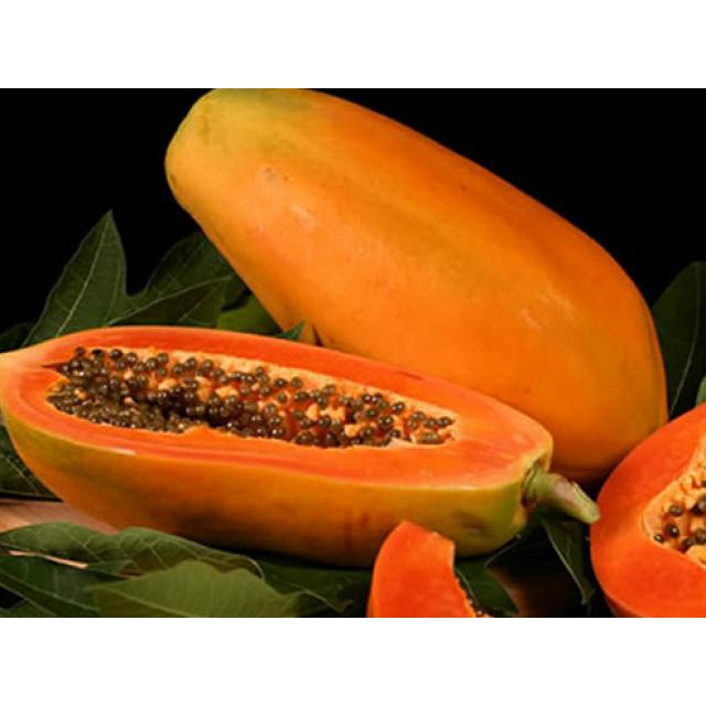 Hạt giống Đu Đủ ruột Đỏ F1 TN