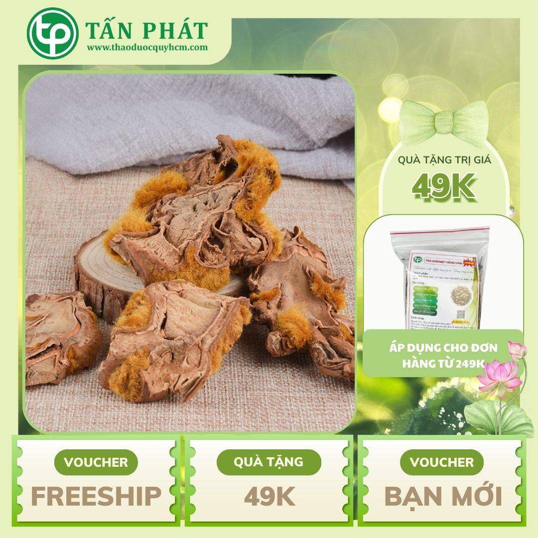 [Hàng mới về] Cẩu tích sấy khô túi lớn loại 1kg - hỗ trợ bổ thận và giảm đau nhức xương khớp cực kỳ hiệu quả