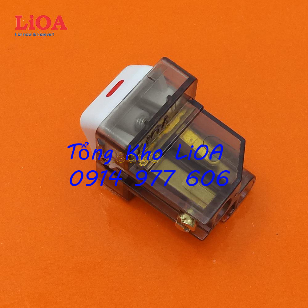 Hạt công tắc vuông 1 chiều 10A LiOA LVE18S12M