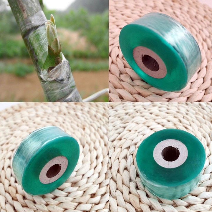 MÀNG BỌC QUẤN GHÉP CÀNH CÂY - DIY702