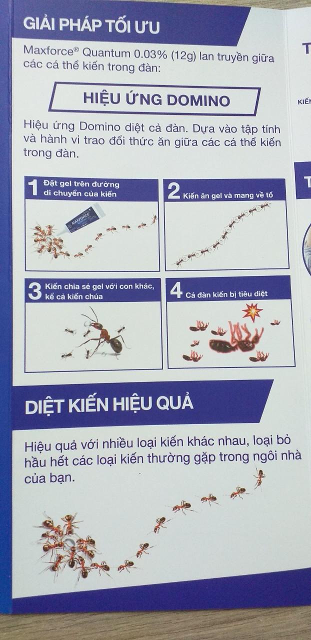 Gel Diệt Kiến MAXFORCE QUANTUM 0.03% Tuýp 12gam (BAYER)