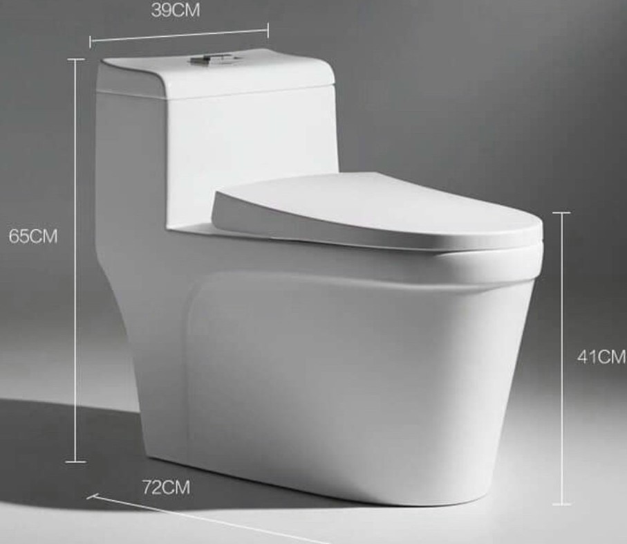 Bồn cầu khối P801