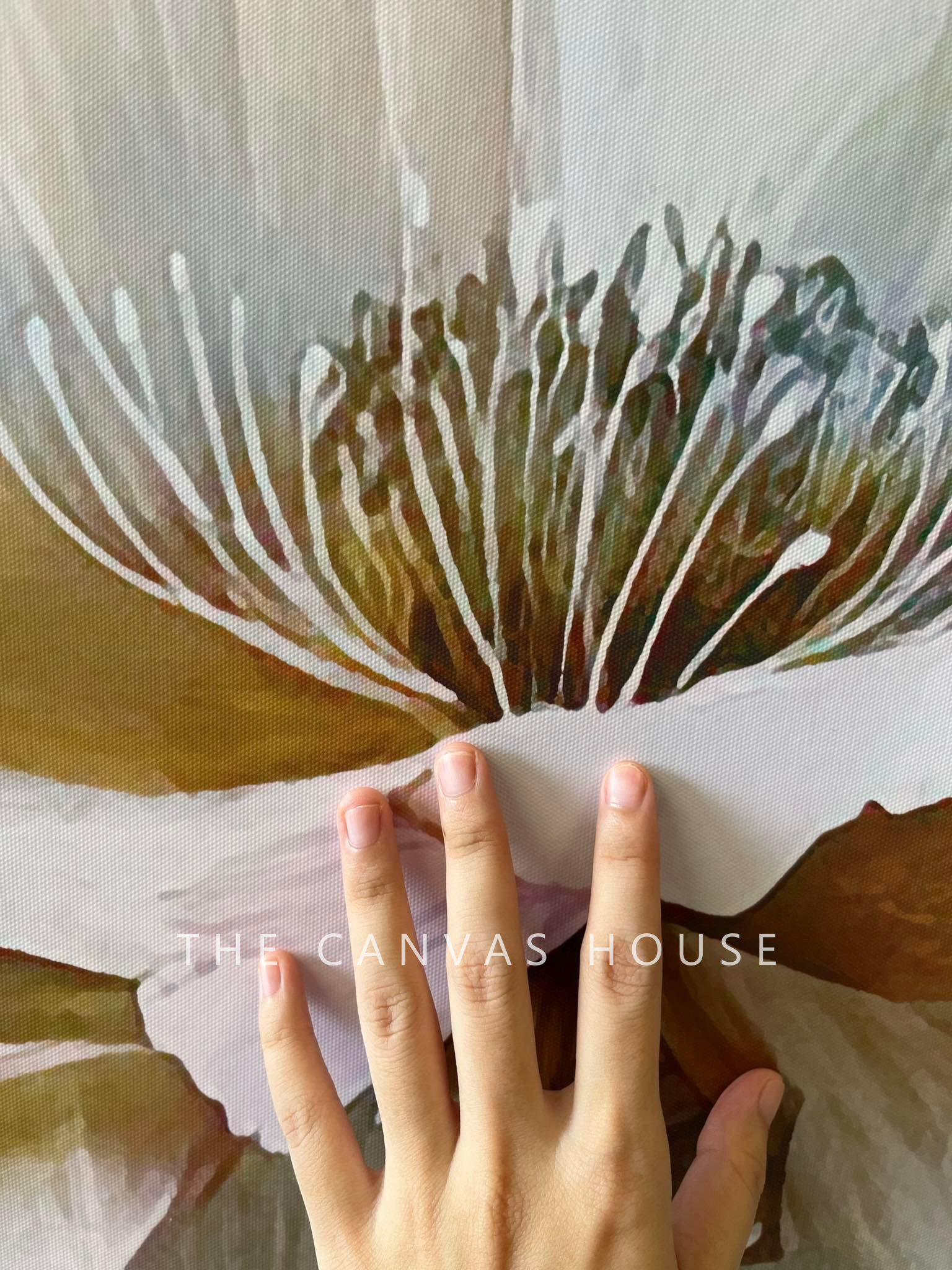 Tranh Canvas Bông Hoa Trắng (Đã có khung, móc, đinh treo) - The Canvas House