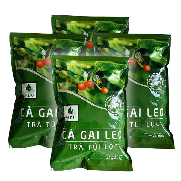 1 Kg Trà Túi Lọc Cà Gai Leo Sadu, sản phẩm tự nhiên 100%