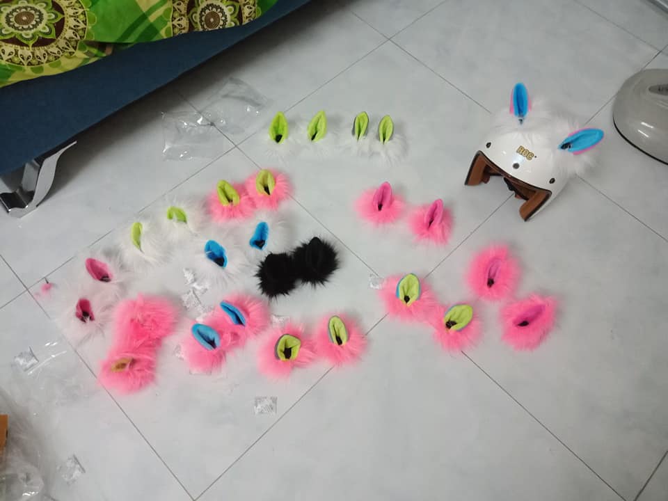 Tai mèo gắn nón bảo hiểm