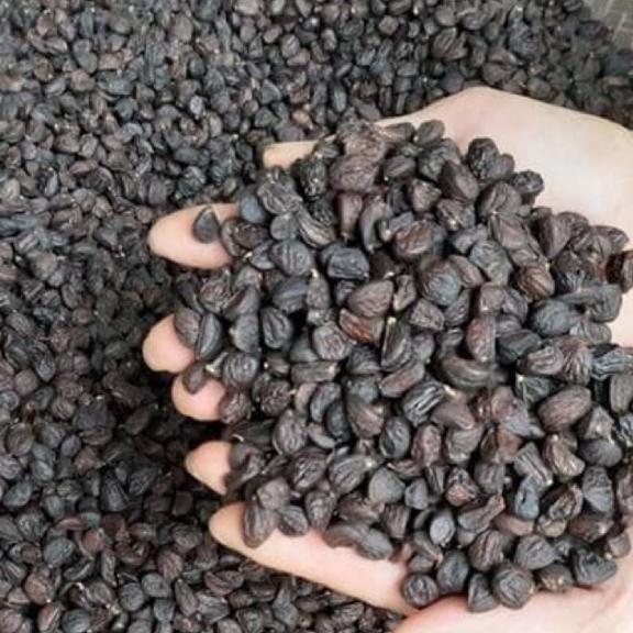 500g hạt dổi nếp rừng loại 1