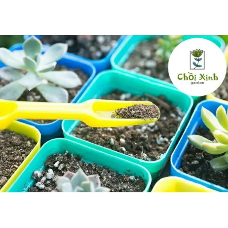 Bộ dụng cụ 2 món trồng cây sen đá, tiểu cảnh mini