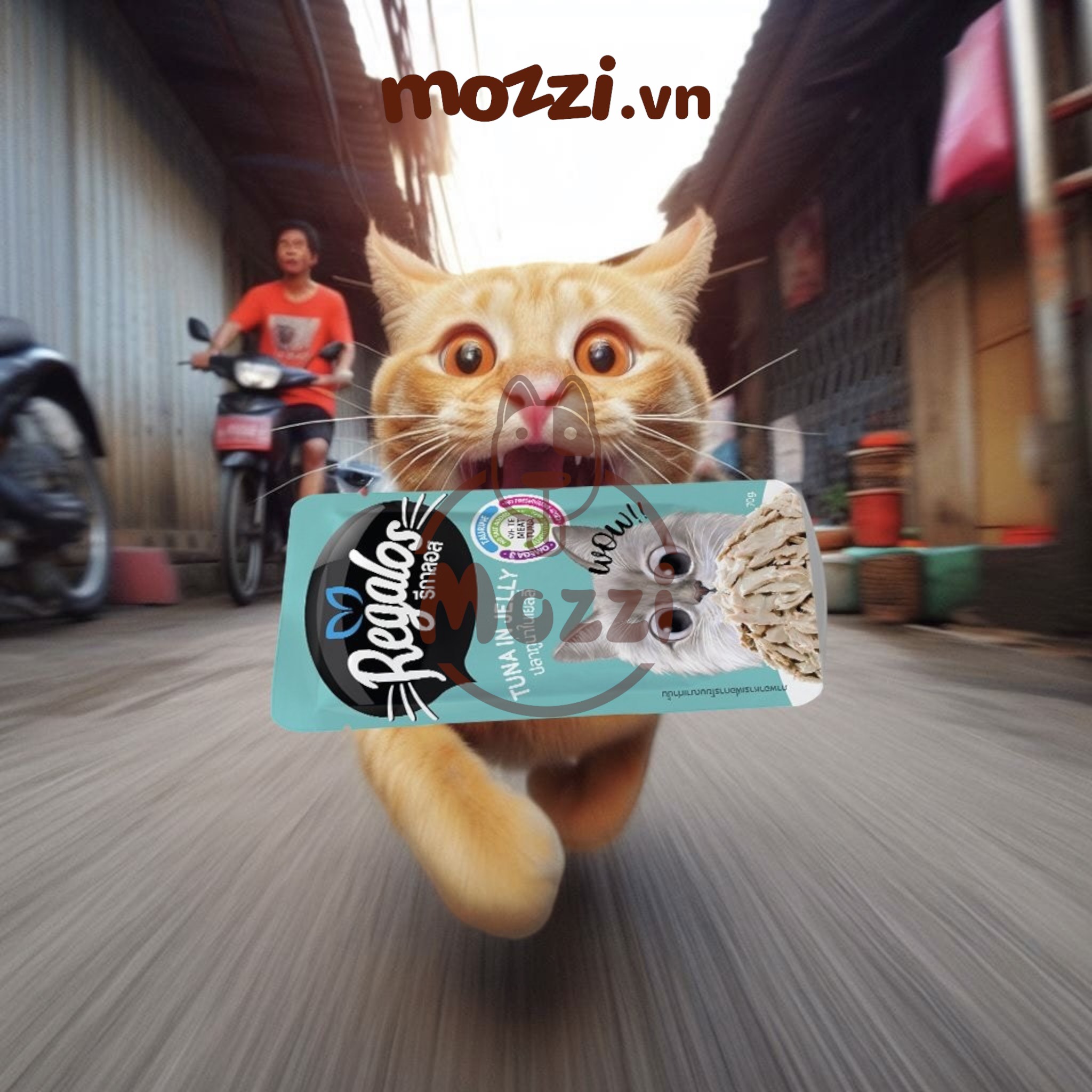 Pate cho mèo con Regalos Kitten Gói 70gr