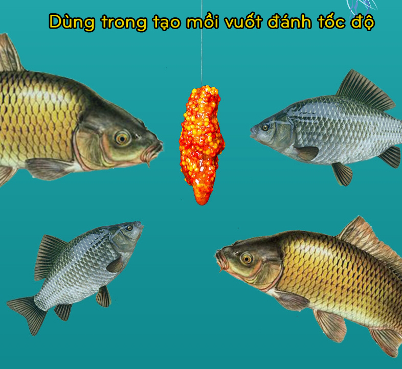 Bột Tơ Nhện Thái Lan Câu Cá tạo sự kết dính cho mồi câu siêu nhạy - A CƯỜNG