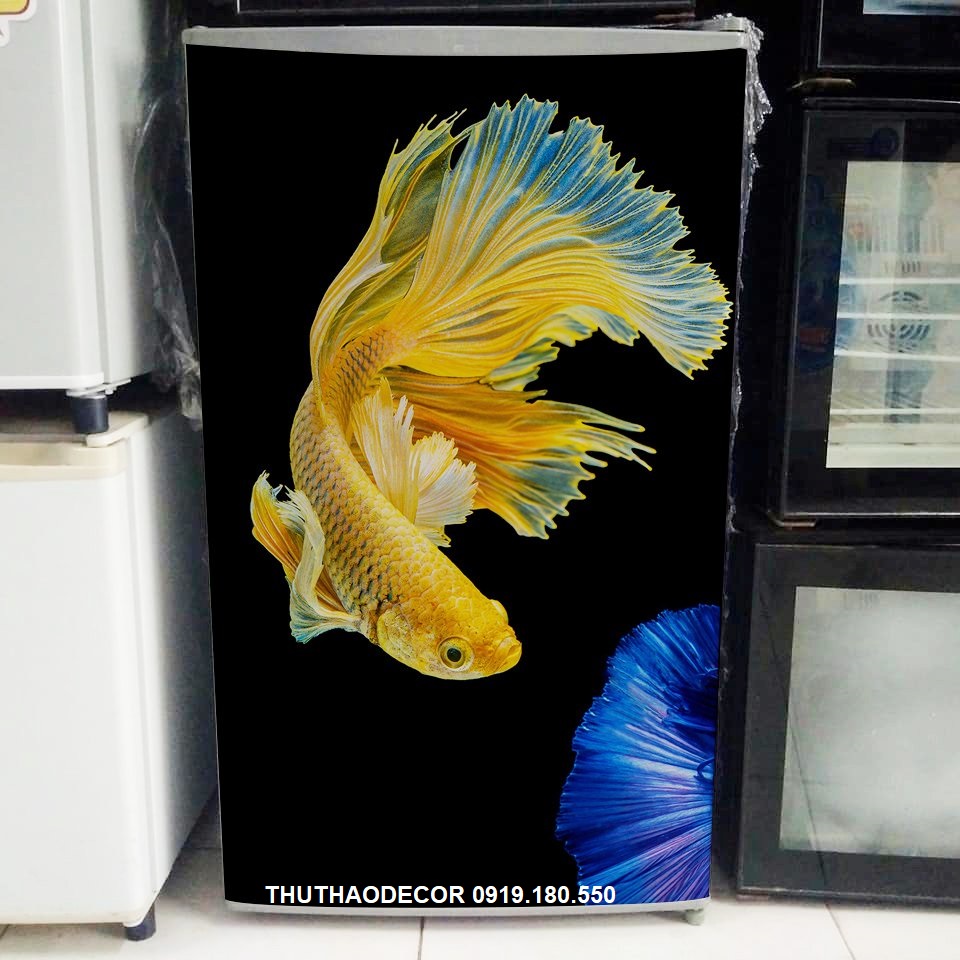 Giấy decal dán tủ lạnh cá cảnh betta - thuthaodecor
