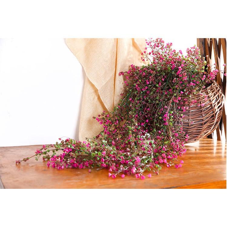 (Loại 1) Dây leo rong biển chiều dài 1 chùm 115cm