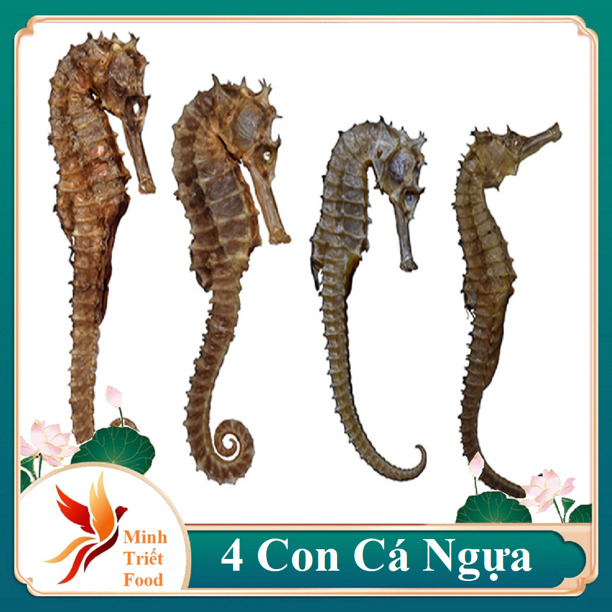 Cá ngựa khô loại đặc biệt- cá ngựa khô thiên nhiên- đặc sản minh triết