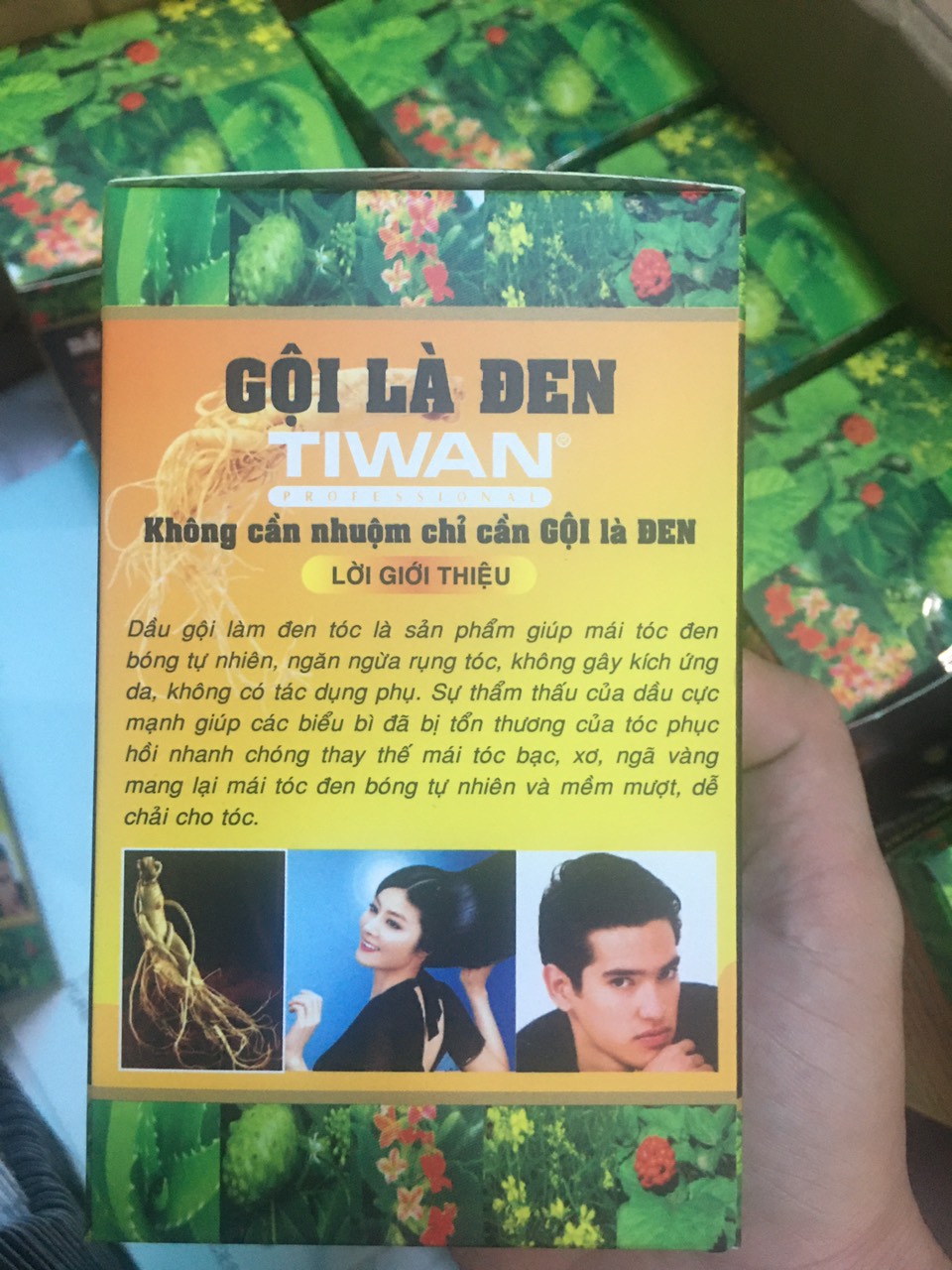 Hộp Dầu Gội là đen tóc tiwan