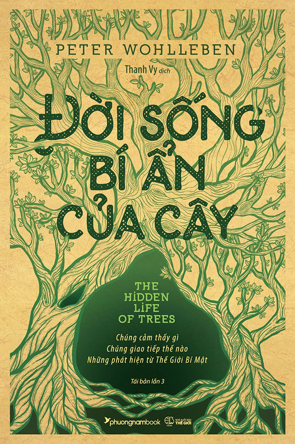 Sách - đời sống bí ẩn của cây - phương nam book