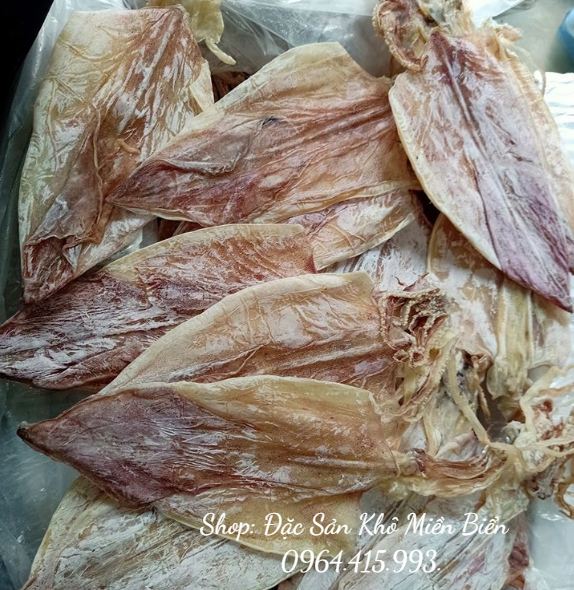 10 con MỰC KHÔ to như hình