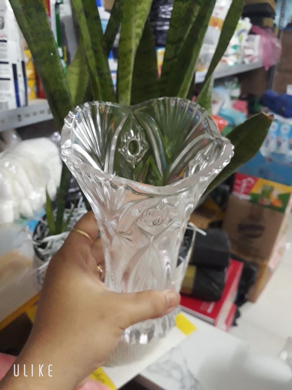 Bình bông lọ hoa thủy tinh cao 20CM #dày dặn