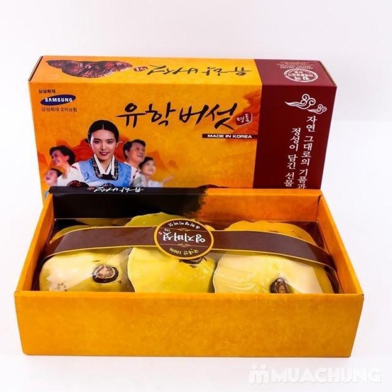 NẤM LINH CHI HỘP 1KG cao cấp