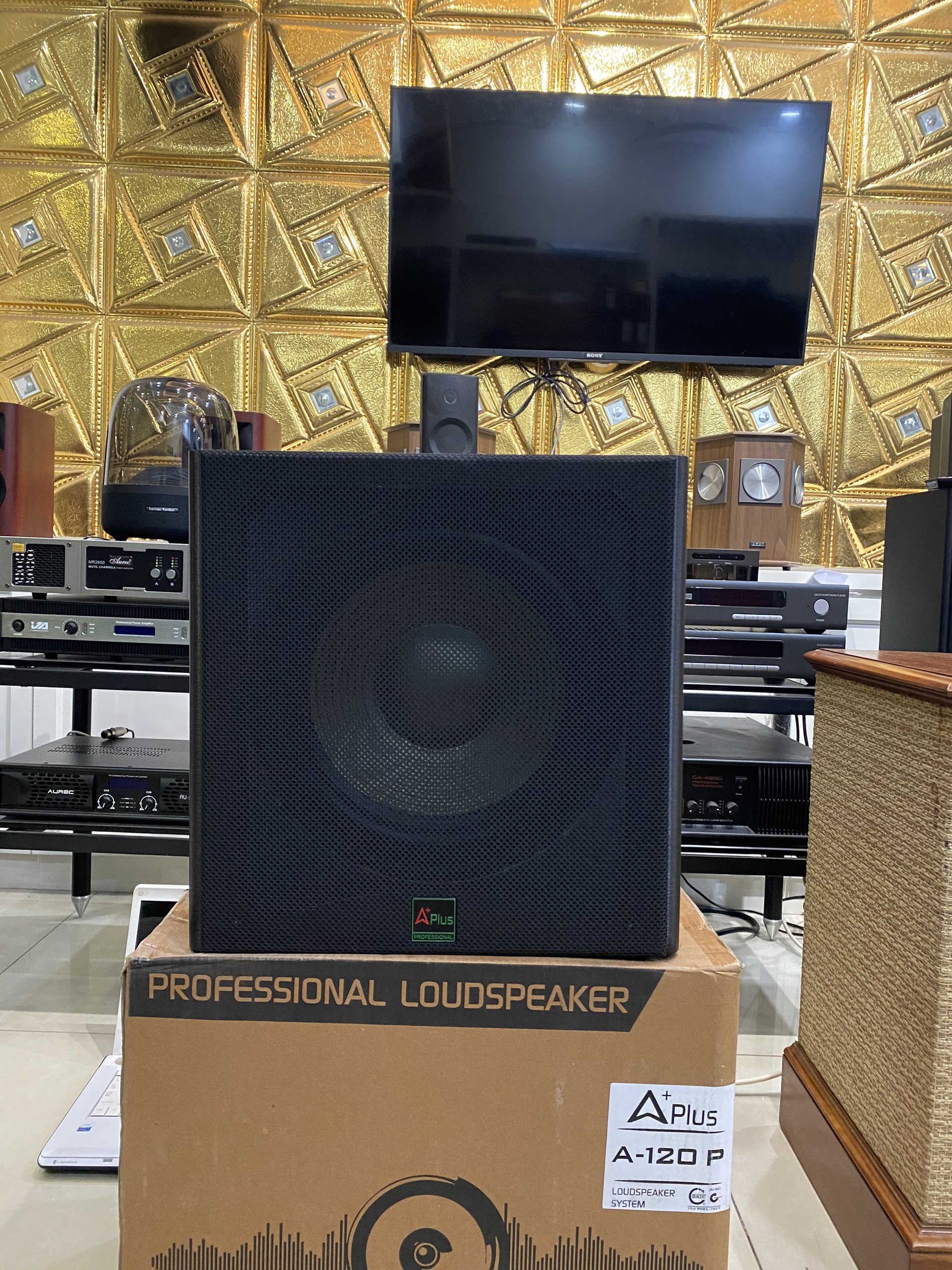 Loa Sub Điện Bass 3 Tấc Aplus A 120P