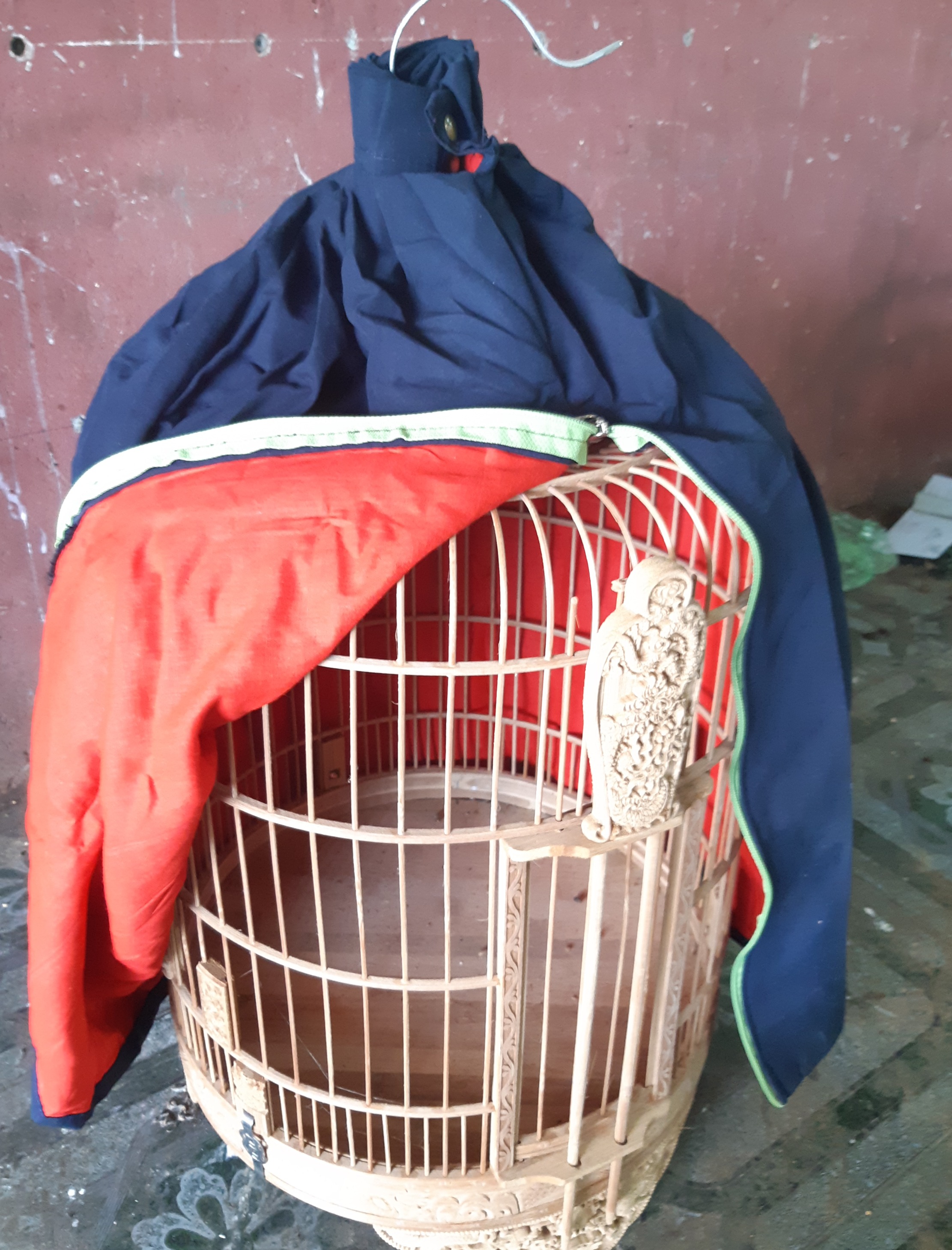 áo lồng họa mi 2 lớp 60-kênh chim cảnh