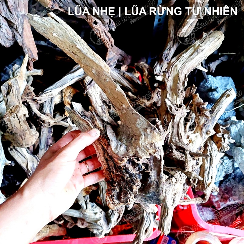 Lũa Nhẹ - Dòng Lũa Rừng Tự Nhiên | Lũa Chuyên Setup Bể Cá Thuỷ Sinh - Bán Cạn - Tiểu Cảnh - Tetrarium [1kg]