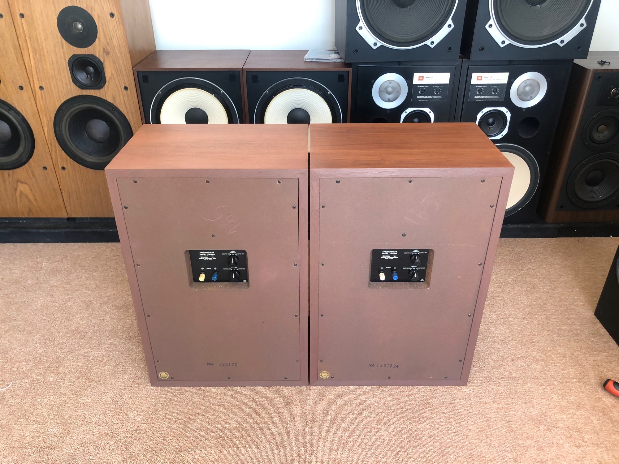 Loa Pioneer cs 99A Fb Hoa hậu