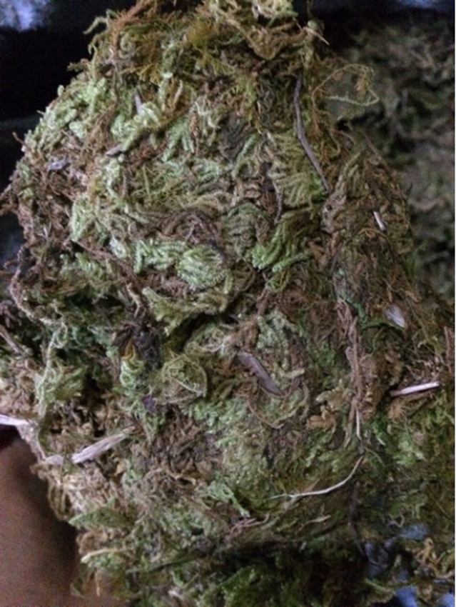 Rêu rừng khô 2 kg