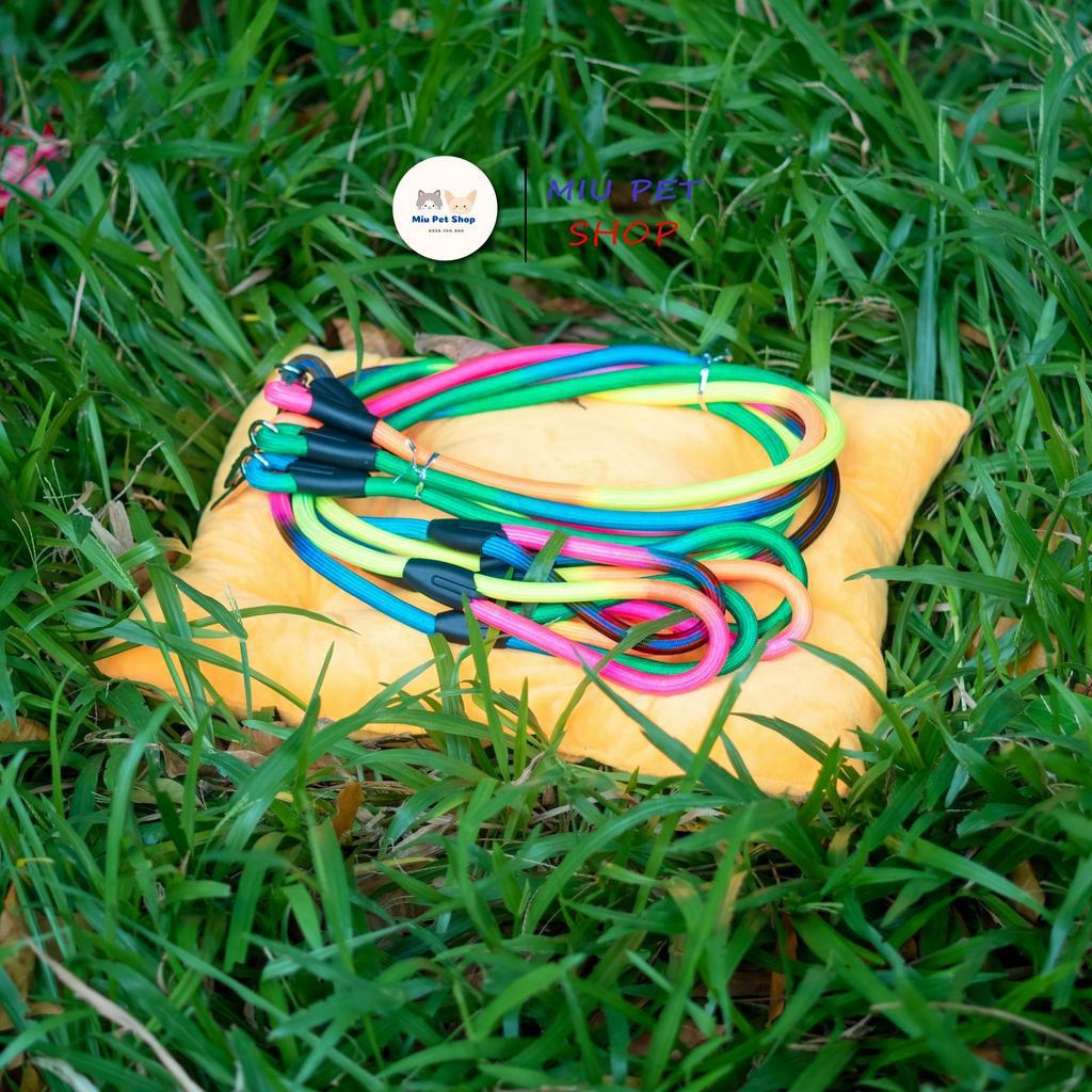 7 Color Pet Leash