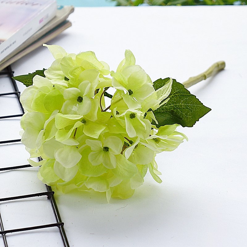 Bông cẩm tú cầu đơn cỡ trung