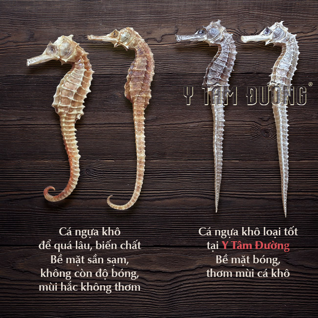 Cá ngưa khô loại TỐT - 1cặp dài từ 11cm-15cm