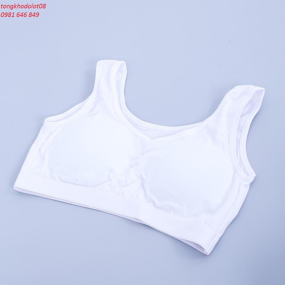 Áo lá học sinh bản to