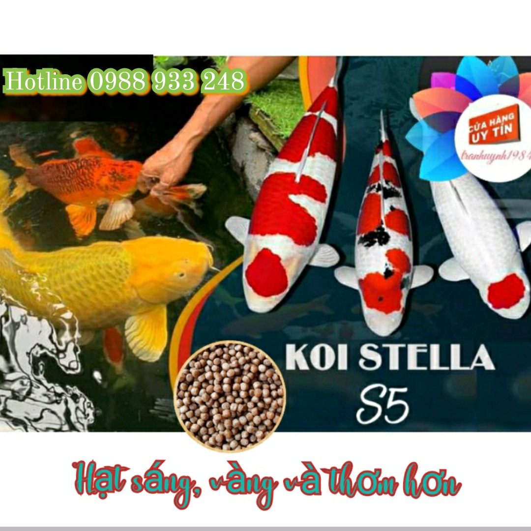 Thức ăn cao cấp KOI STELLA S5 dành cho cá KOI, cá Cảnh/1kg