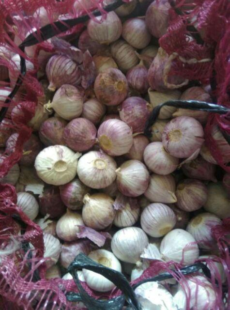 0.5kg Tỏi Cô Đơn BÒ ĐỘI NÓN