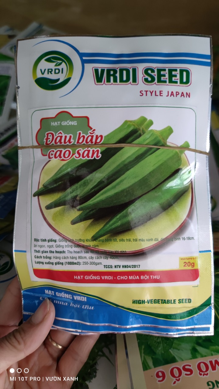 Hạt giống Đậu Bắp Quả Xanh, đậu bắp quả đỏ năng suất cao, thích hợp với nhiều điệu kiện đất đai, khí hậu