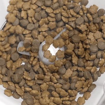 PETKIT FRESH ELEMENT MINI- Máy cho ăn tự động thông minh PETKIT MINI